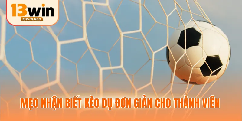 Mẹo nhận biết kèo dụ là gì đơn giản cho thành viên